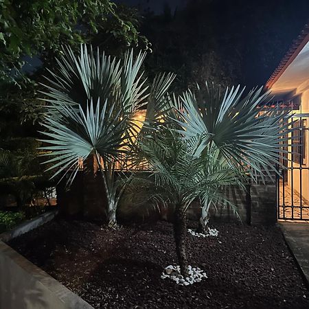 Villa Palmier -Quiet Cosy Air Conditioned Terrace プエルトバラータ エクステリア 写真