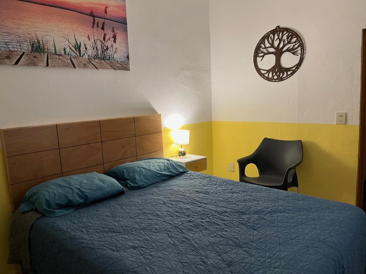 Villa Palmier -Quiet Cosy Air Conditioned Terrace プエルトバラータ エクステリア 写真