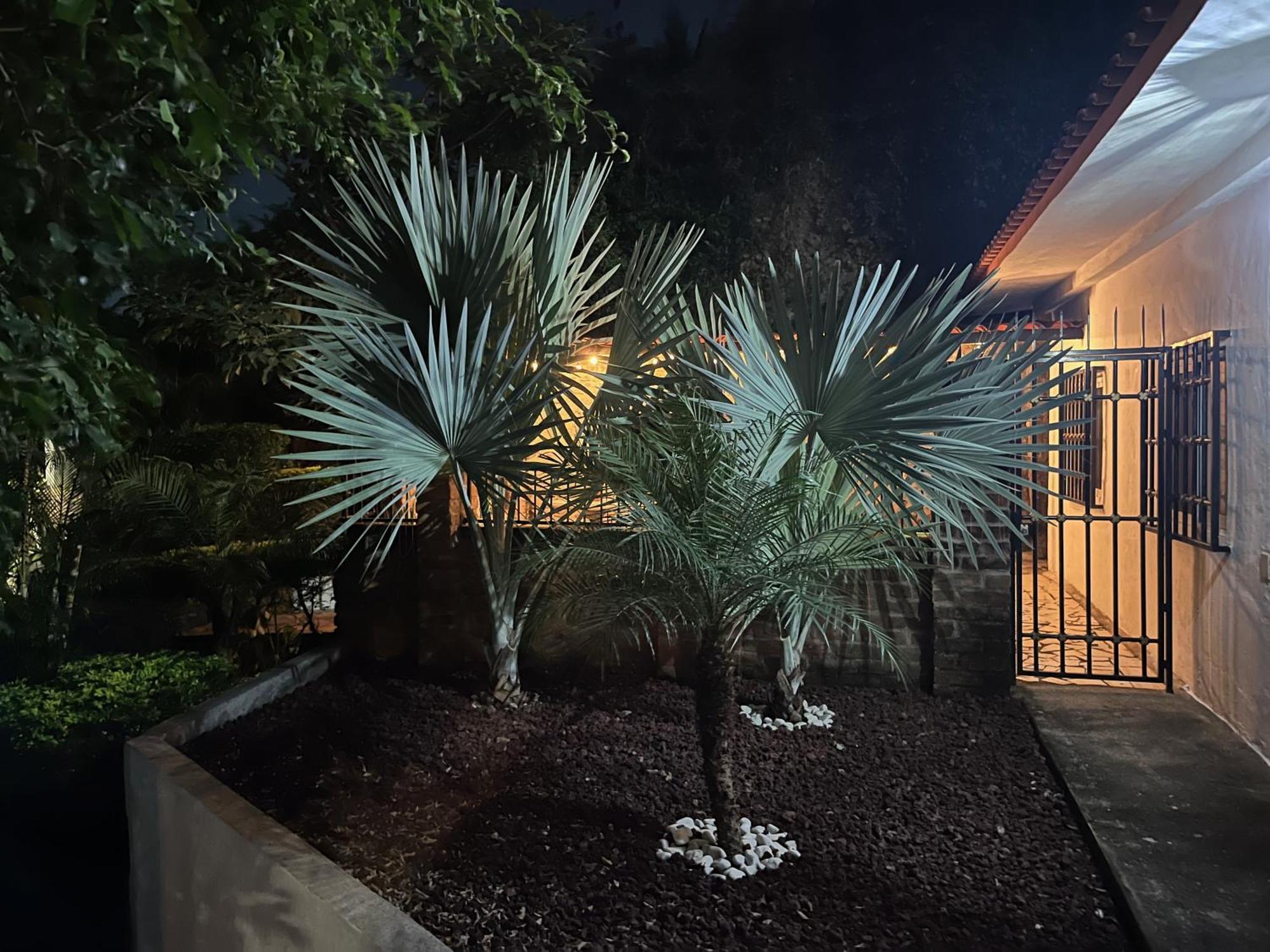 Villa Palmier -Quiet Cosy Air Conditioned Terrace プエルトバラータ エクステリア 写真
