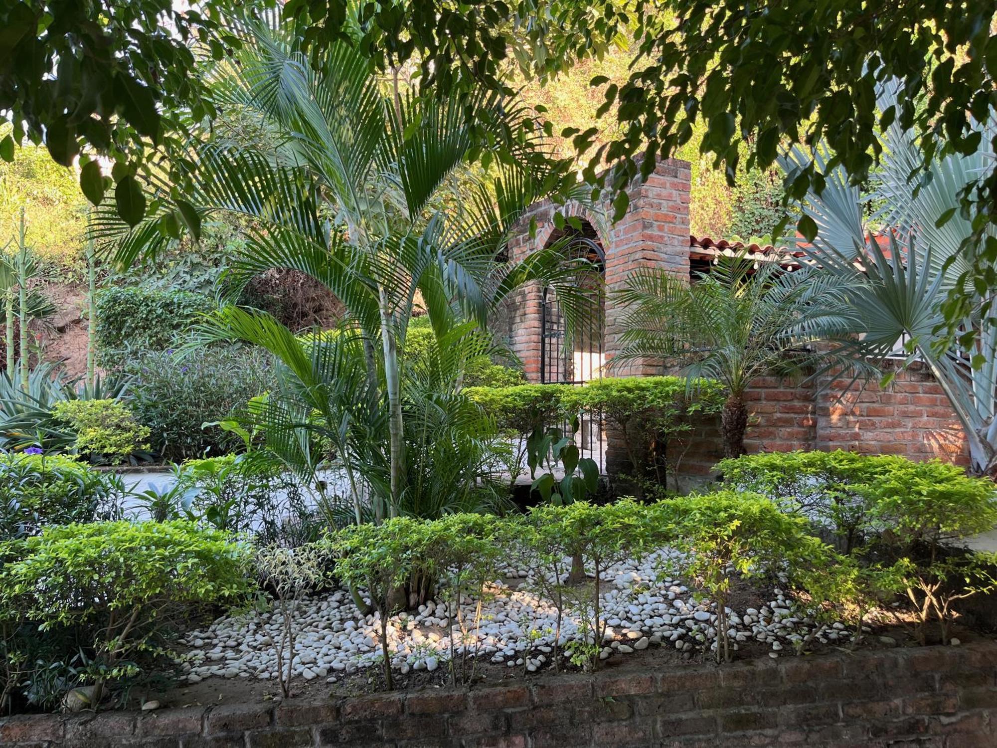 Villa Palmier -Quiet Cosy Air Conditioned Terrace プエルトバラータ エクステリア 写真